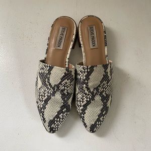 Steve Madden Mule